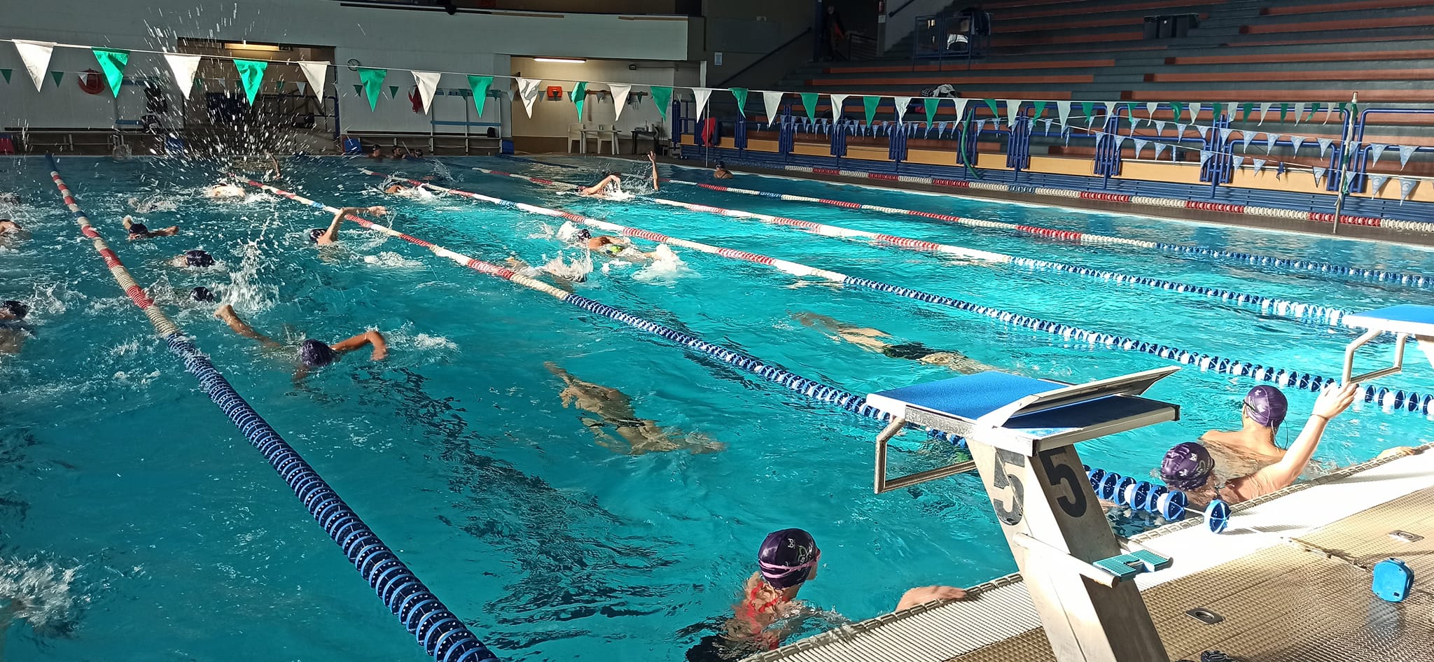 Tutto pronto per “Una vasca per Aisla Firenze”, l’undicesima edizione si terrà il 15 e 16 novembre